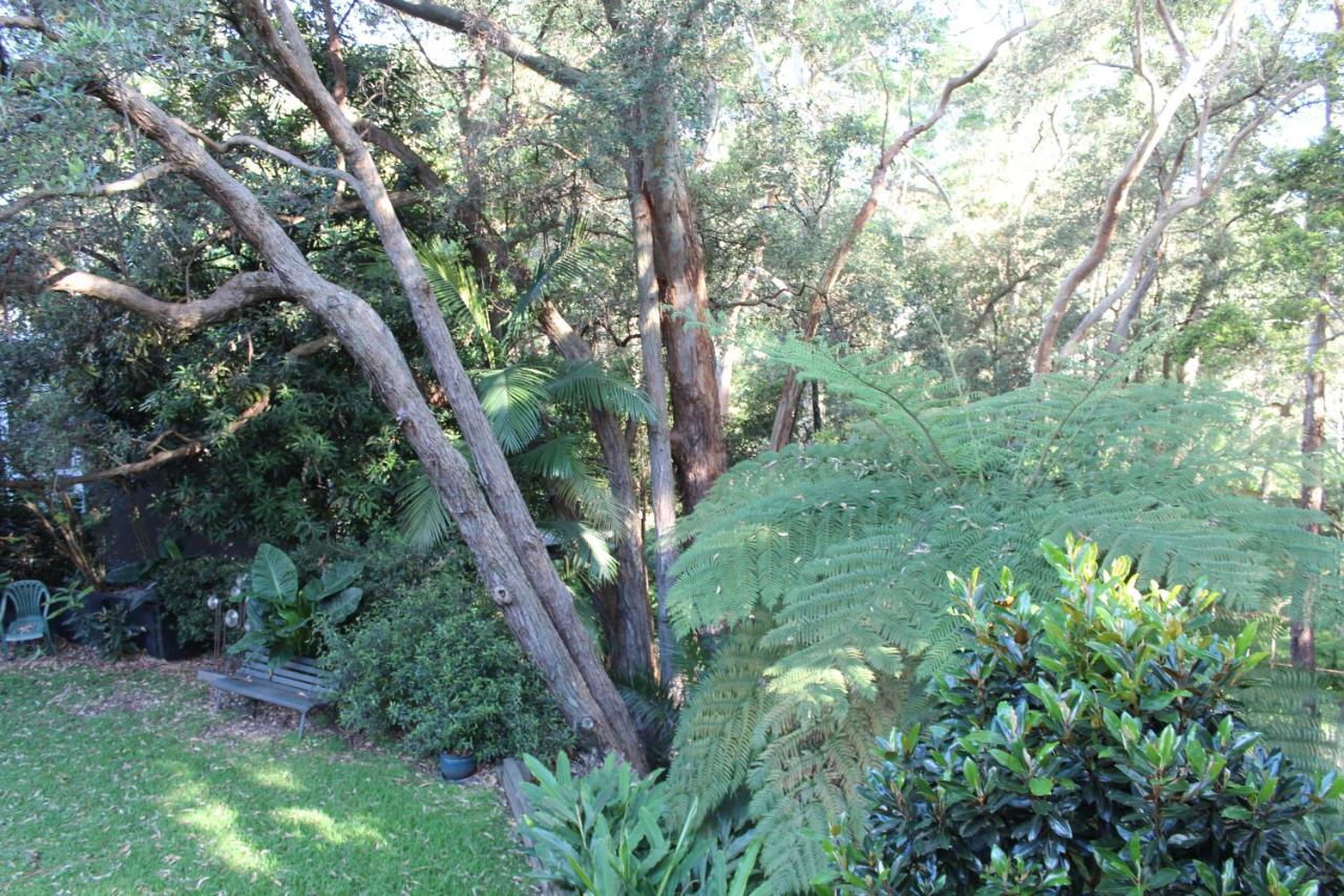 Bushland Setting Close To Sydney Cbd- Stand Alone Apartment Exterior photo